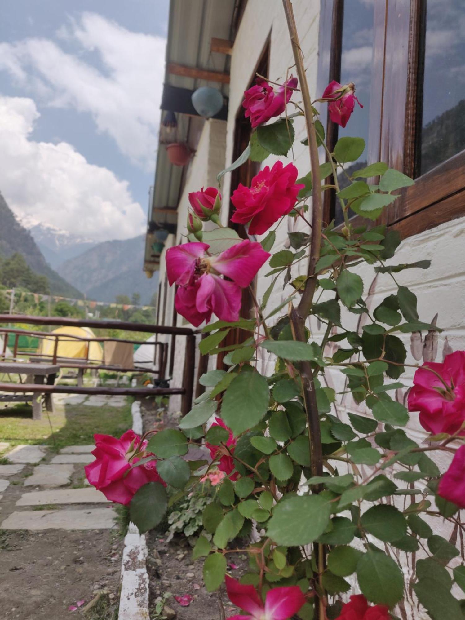 Himtrek Stays, Kasol Exteriér fotografie
